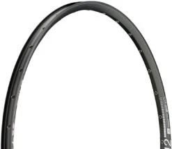 Dt-swiss X 412 Disc 29" Felge