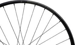 Tune Race 23 Boost Disc 6-Loch 29" Laufradsatz -BikeMotion Deutschland Verkaufs-Shop 342174