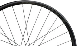 HOPE Pro 4 + Fortus 26 Disc 6-Loch 29" Boost Laufradsatz -BikeMotion Deutschland Verkaufs-Shop 395309