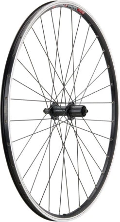 Urban Acera V-Brake DT Swiss 535 28" Laufradsatz -BikeMotion Deutschland Verkaufs-Shop 396798