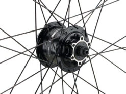 Mountain Alivio Disc 6-Loch DT Swiss 466d 29" Laufradsatz -BikeMotion Deutschland Verkaufs-Shop 399626