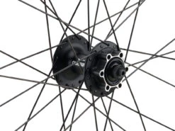 Mountain Alivio Disc 6-Loch DT Swiss 466d 29" Laufradsatz -BikeMotion Deutschland Verkaufs-Shop 399633