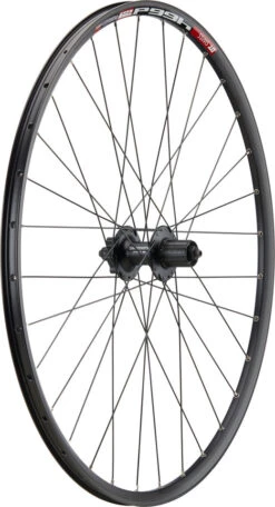 Mountain Alivio Disc 6-Loch DT Swiss 466d 29" Laufradsatz -BikeMotion Deutschland Verkaufs-Shop 399634